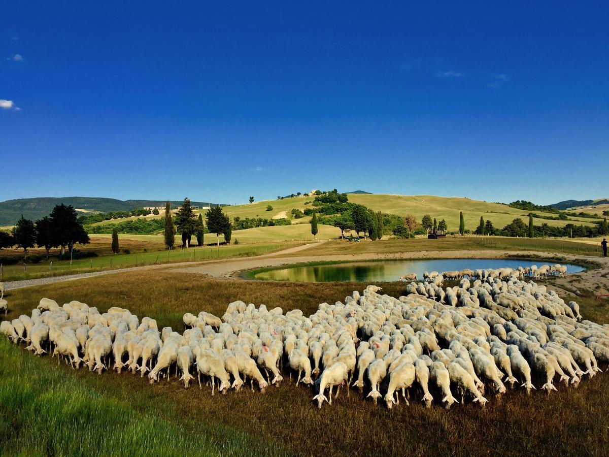 Relais Val D'Orcia Hotel Pienza Eksteriør billede